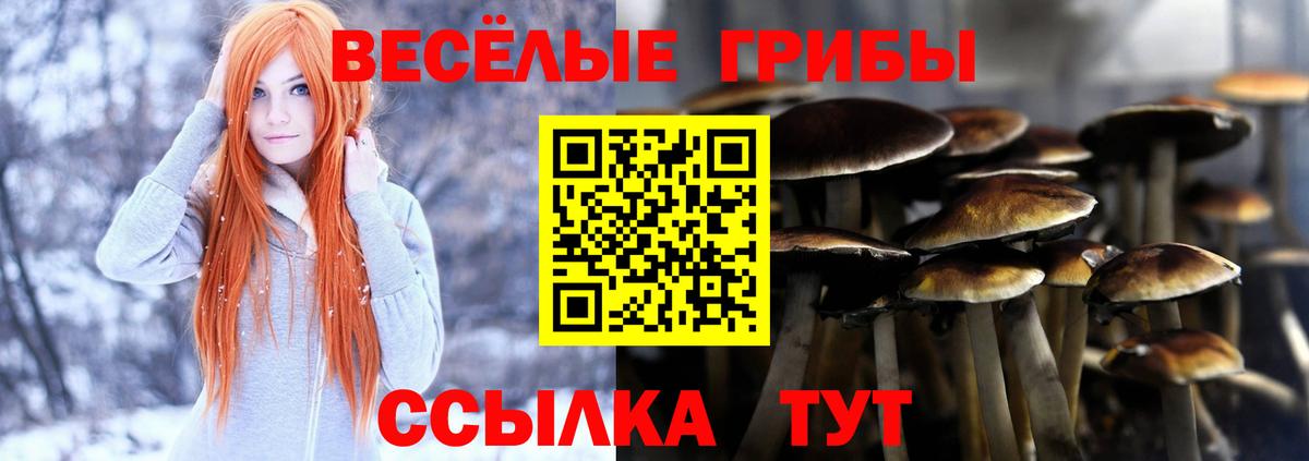 Галлюциногенные грибы Psilocybine cubensis  Вход с VPN  Артём  Галлюциногенные грибы мухоморы 