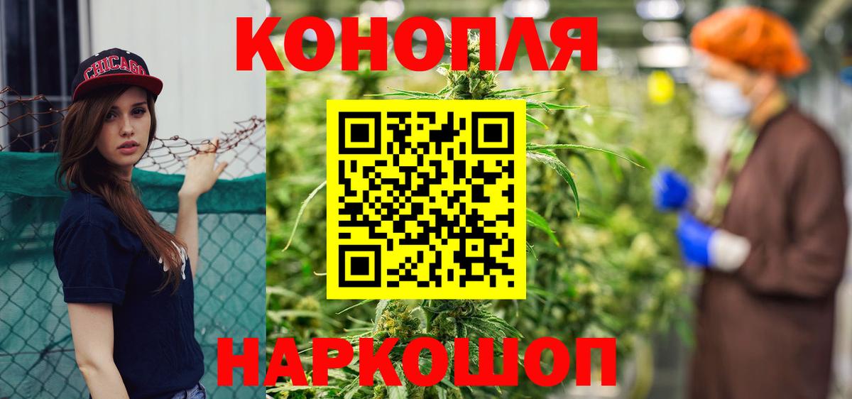 Бошки Шишки THC 21%  Бошки марихуана тримм  Вход с VPN  Артём  Бошки марихуана конопля 